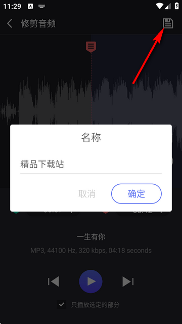 17483171984664869
