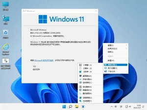 Windows 11 Pro/PW专业版 22000.3260 [小修]深度精简版 V8 [1.42G]