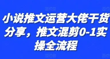 【教程】小说推文混剪起号全攻略：故事剪辑+运营思路  视频教程