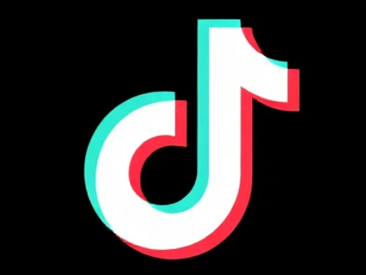 【课程】TikTok玄学咨询变现课，12大命理领域结合风水运势与运营实操 mp4  [3.7GB]